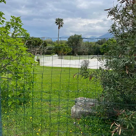 Apartament Studio